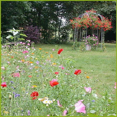 Der Garten verwandelt sich in eine Blütenpracht