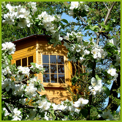 Der Pavillon im Blütenmeer