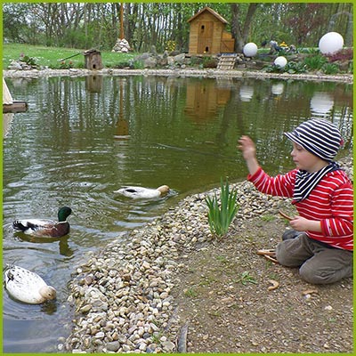 Enten füttern am Teich