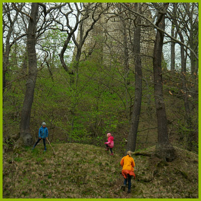 Die Lauenburg bei Stecklenberg